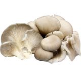 Girgolas Frescas 300 Gr