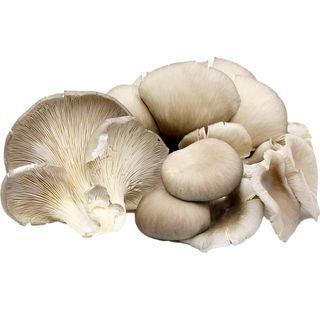 Girgolas Frescas 300 Gr