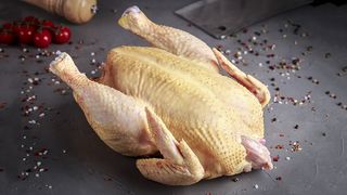 Тушка Домашньої Курки (2000г)