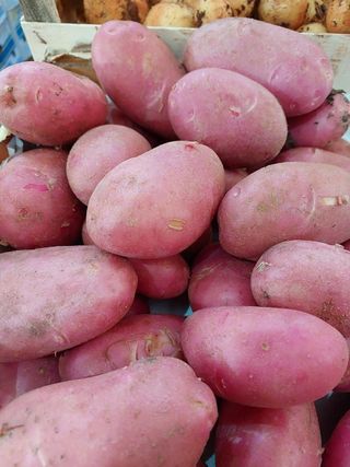 Crveni mladi krompir