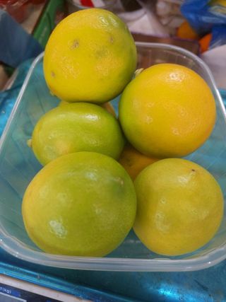 Domaći organski limun