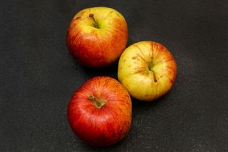 Jabuka (Jonogold)