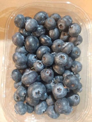 Krupna borovnica korpica