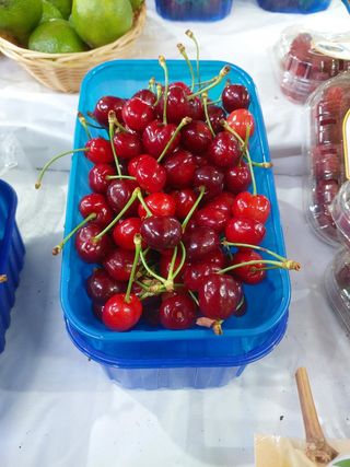 Domaća trešnja
