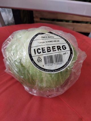Iceberg salata