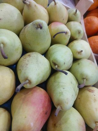 Kruška Santa marija