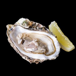 Устриця Біла Перлина (6 Шт) (доставка)