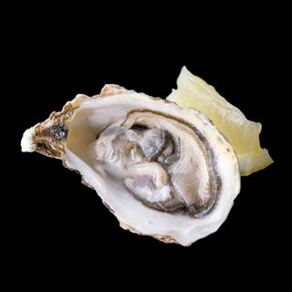 Устриця Фін Де Клер (6 Шт) (доставка)