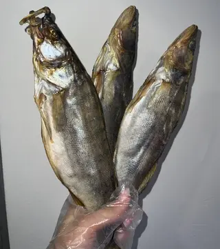 Судак
