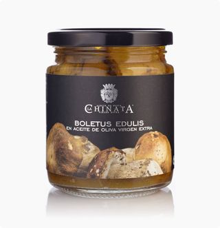 Boletus Edulis En Aove