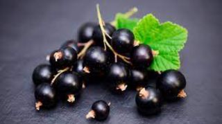 Сидр Смородина