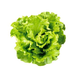 Insalata Gentile 350g