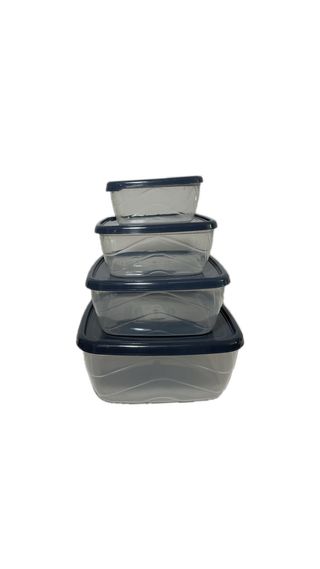 საჭმლის შესანახი კონტეინერი პლასტმასის (4-იანი) AK675