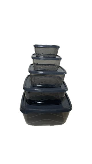 საჭმლის შესანახი კონტეინერი პლასტმასის (5-იანი) AK676