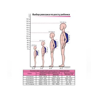 Рюкзак ErichKrause EasyLine® с двумя отделениями 20L It`s Anime