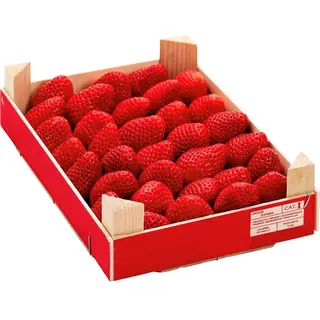Fruteria Fresa Caja 1 Kg