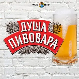 Душа Пивавара