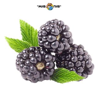 Сидр  Ожина