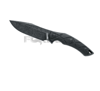 Lycosa FE-018