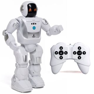 Program a Bot X Robot R/C-88071