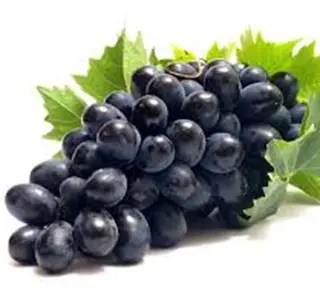 Crno Grožđe kg