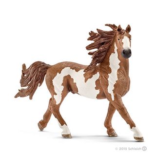 Figura de Semental pinto-13794