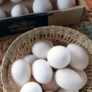 Huevos Ecológicos El Romero