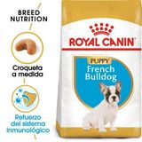 Royal Canin French Bulldog Puppy Pienso para Cachorro Bulldog Francés (3 Kg) 3182550811705