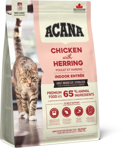 Sucha karma dla Kota