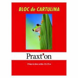 Bloc De Cartulina Praxton De 10 Colores