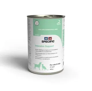 Specific Intensive Support 395g