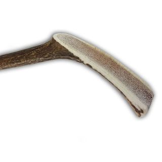 Mordedor Asta Partida De Ciervo Talla L