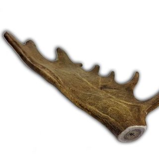 Mordedor Asta De Gamo Talla S