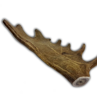 Mordedor Asta De Gamo Talla L