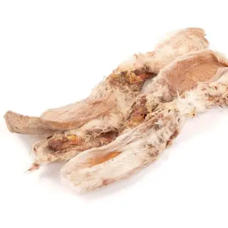Orejas De Conejo