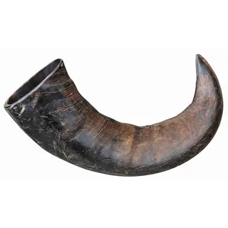 Asta De Búfalo Natural Masticable Para Perro, Trixie 15 Cm.