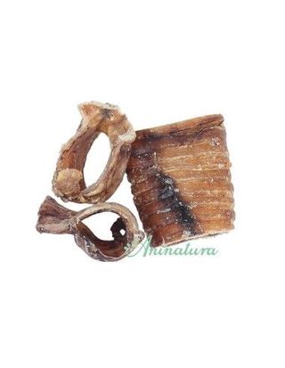 Snack Para Perro, Tráquea De Vacuno Animatura 15 Cm.