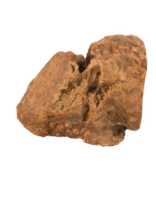 Raíz Natural Masticable Para Perro, Bubimex 60-150 Gr.