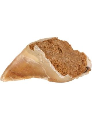 Pezuña Rellena Masticable, Trixie 115 Gr.
