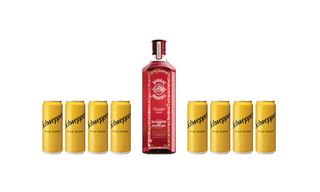 ბომბეი ბრამბლი 43% 1ლ და 8 ცალი შვეფსი 330 მლ