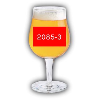 Пиво 2085 Mexican Lager (1 л)