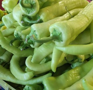 Ardei dulce România