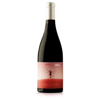 Vi Idoia Negre 2014 (d.o. Catalunya)