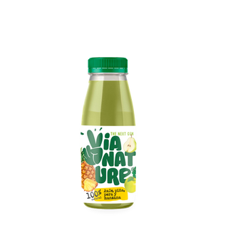 Suc Vegetals I Fruites Detox 250ml Via Nature