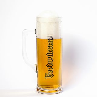 Бердичівське Лагер, 1л