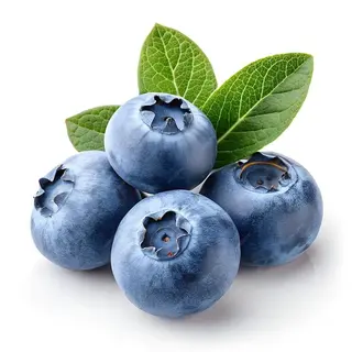 Borovnice