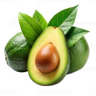 Avokado