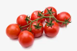 Cherry paradaiz