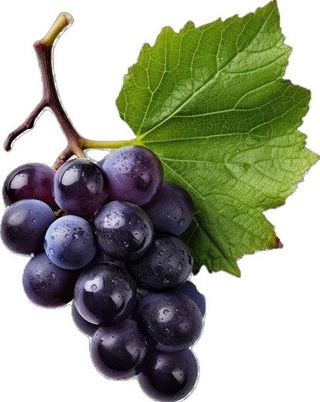 Grozdje crno