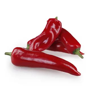 Paprika Silja Crv
